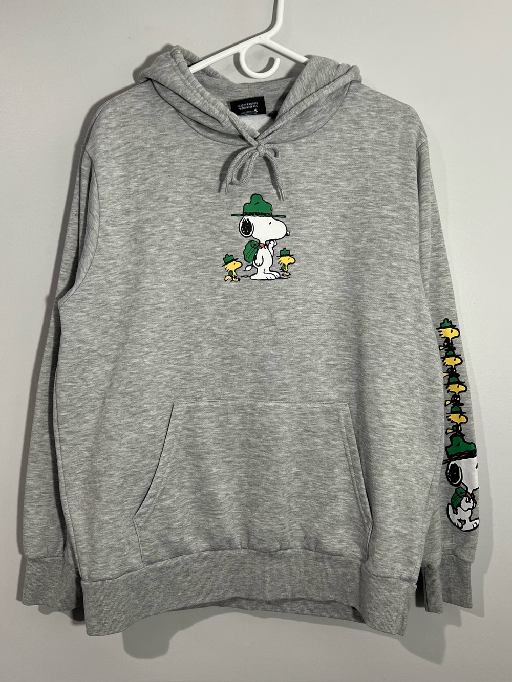 Peanuts Snoopy Woodstock Camping Gray Pullover Sweatshirt Hoodie Mens Large